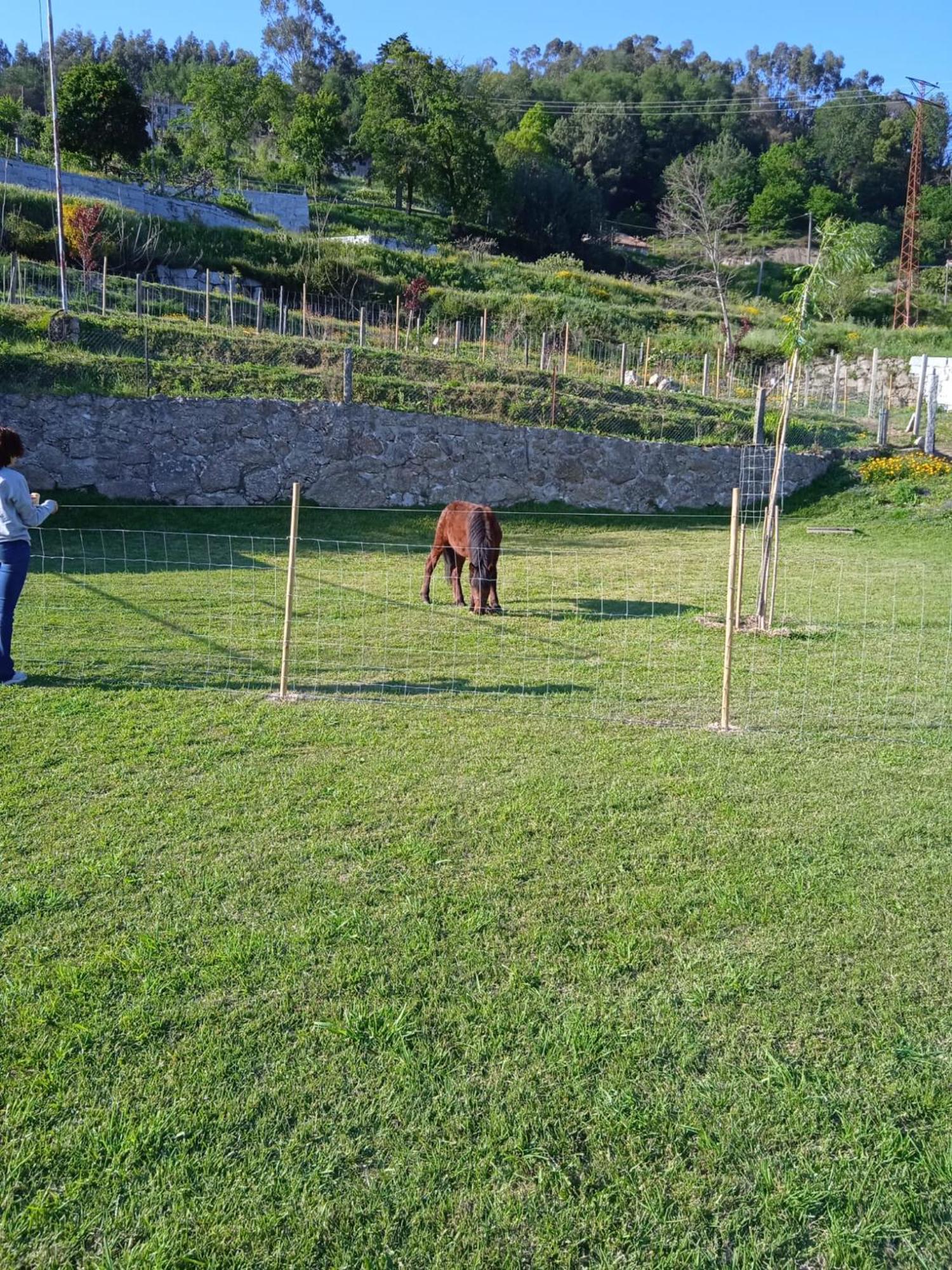 Quinta Dos Campos - Apartamento 1 Daire Braga Dış mekan fotoğraf